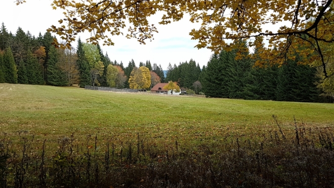 Nová Boubská.