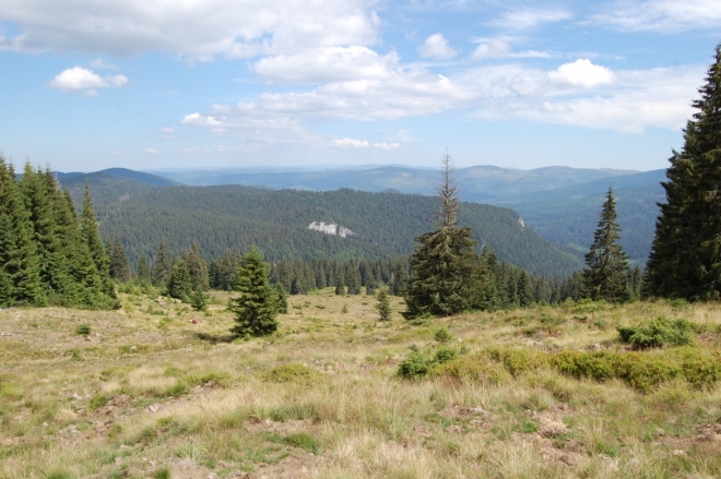 Planina pod Vf. Briței (1 759 m n. m.).