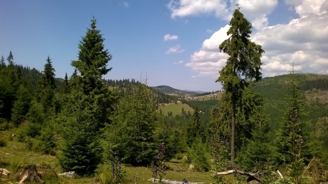 Stoupání na Piatra Grăitoare.