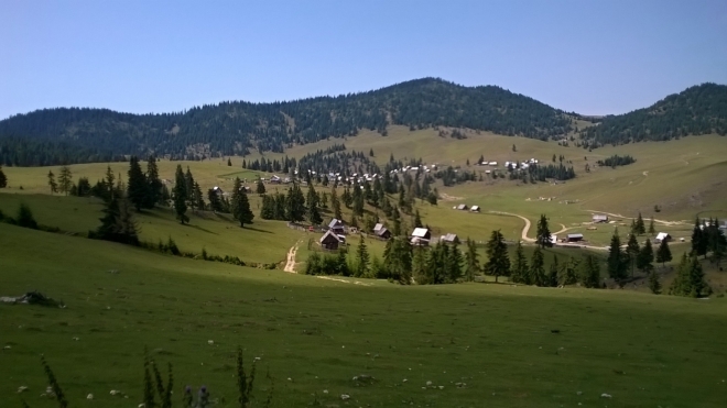 Vărtop.