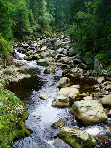 Nutno říct, že zaslouženě. Ale právě proto se naše kroky stáčí od značené cesty na Antígl a razí si cestu podél Popelného potoku.