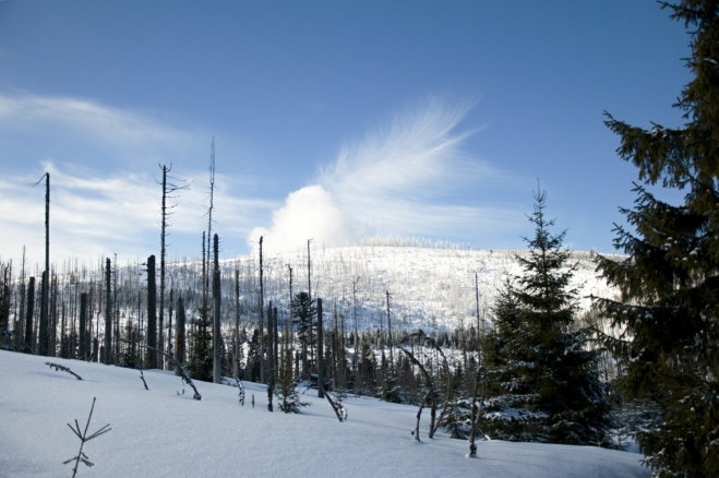 Křídlení nad Plesnou.