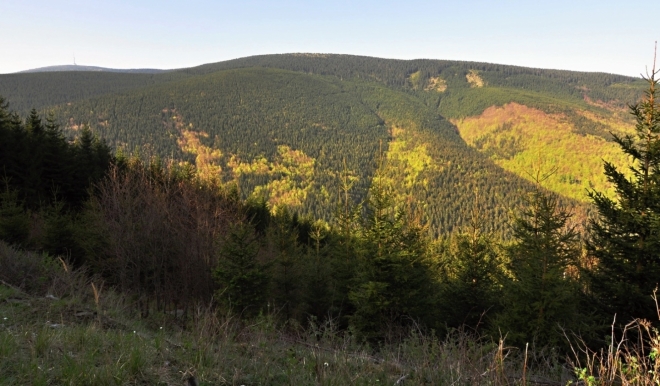 Hřeben Malého Děda nad Videlským sedlem.