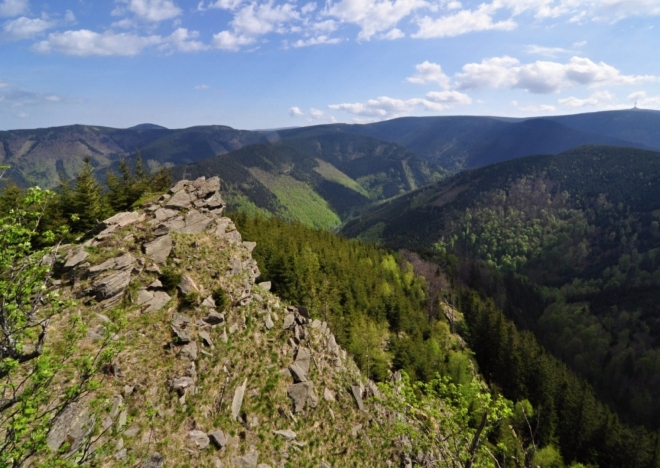 Údolí Borového potoka.