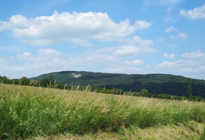 Plešivec s kamenným mořem.