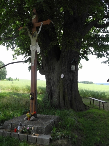 Památný strom.