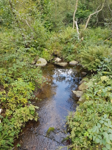 Křemžský potok.