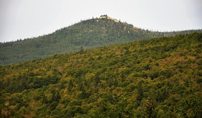 Luzný.