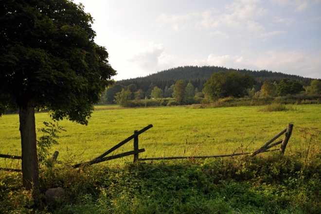 Spálený.