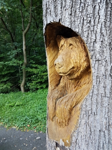 U lanovky na Pustevny nás uvítá jeden z mnoha zdejších medvědů. Většina z nich je sice takto neškodných, ale v Beskydech se toulají i jejich živí bratři.