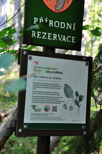 Chráněný přírodě blízký les na strmých a kamenitých svazích. Převažující bučinu doplňuje na vrcholu Noříčí hory smrk ztepilý a v dolní části rezervace javor klen.Podrost tvoří typické druhy kyselých bučin (bika lesní, třtina rákosovitá, papratka samičí), květnatých bučin (rozrazil horský, bažanka vytrvalá, kokořík přeslenitý) a suťových lesů.Hnízdí zde chráněné druhy ptáků, například holub doupňák, kos horský, jeřábek lesní, ořešník kropenatý. (www.mapy.cz)