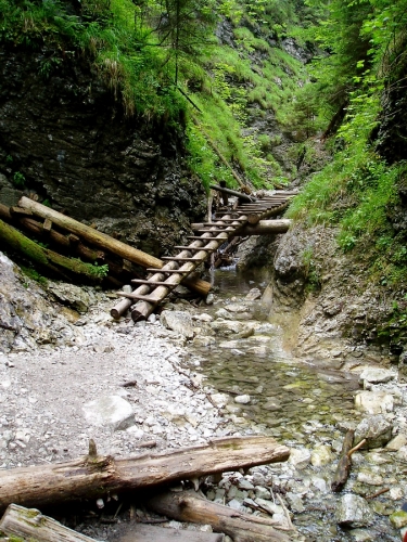 Ani známý Slovenský ráj od našeho ubytování v podtatranské vsi Štola není nijak daleko. Proč to tady nevyužít?