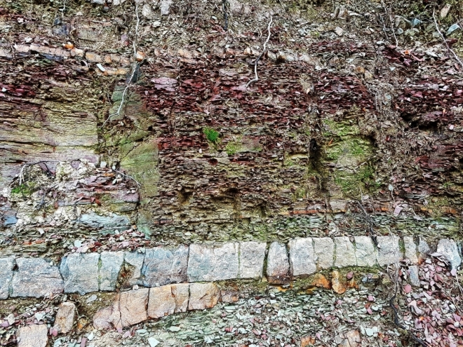 Zvláštní geologické vrstvy jsou dobře vidět na odhaleném svahu nad cestou.