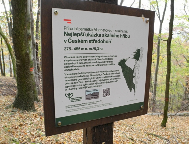 Přírodní památka zahrnuje geomorfologický útvar utvořený dvěma vulkanickými proudy. Spodní hornina je pórovitější a více podléhá erozi, tvoří tak užší nohu hřibu. Vrchní část je tvořena odolnější horninou.