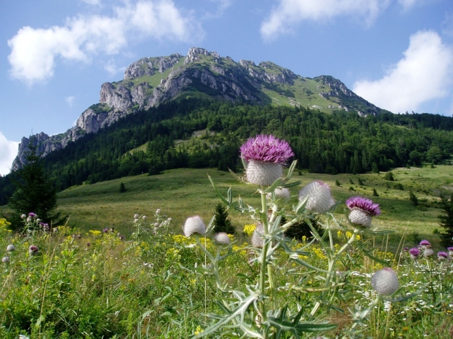 Pohled  na Rozsutec je fascinující.