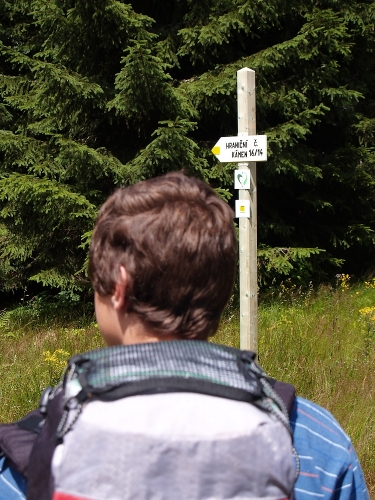 U odbočky k hranici je pusto a prázdno. Kousek dál nový můstek přes potok a značení na zelenou šipku. Ta nás bude provázet celou cestu Bavorským parkem.