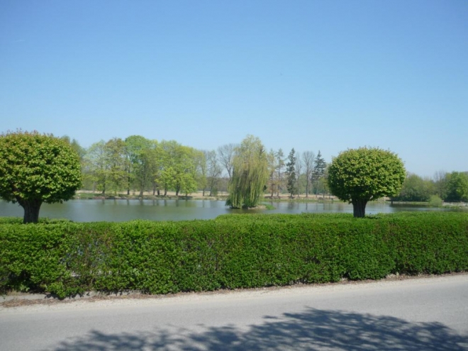 Obecní rybník v Čejeticích