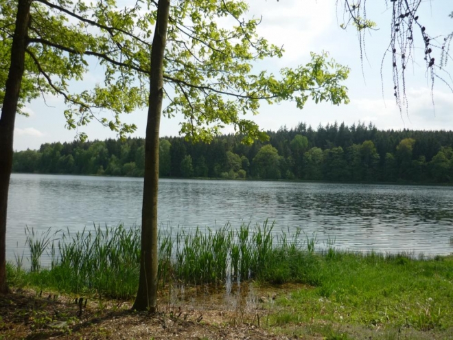 Cesta přes Hadí