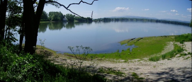 U Pašic se rozlévá Volešek, velký rybník s krásným výhledem k Blanskému lesu a masívu Vysoké Běty. 