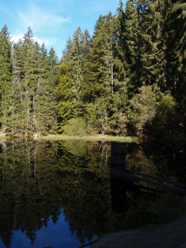 Boubínské jezero, ke kterému přicházíme od parkoviště u Zátoně, je naši první nedělní zastávkou. Tentokrát s námi jedou Honsáci a my se chceme pokusit uvidět nebo alespoň uslyšet jeleny v Boubínské oboře.