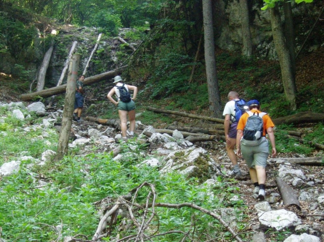 Velká Fatra, naše první zastávka putování Slovenskými horami, je velmi atraktivní. My si vybíráme rozeklanou západní část i proto, protože centrální již z minulých přechodů známe. Ať už to bylo přechodem ze Starých Hor přes Krížnou, Ostredok, na chatu pod Borišovom a dále až ke Kĺaku, do Lubochnianské doliny, nebo při týdenním ubytování ve Smrekovici, chatě položené vysoko na hřebeni východní části hor.
