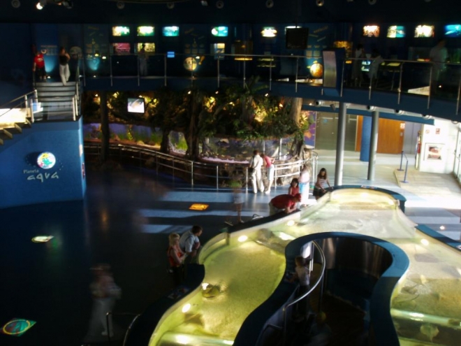 Mořské akvárium je jedním z nejznámějších barcelonských komerčních trháků a patří mezi největší v Evropě.