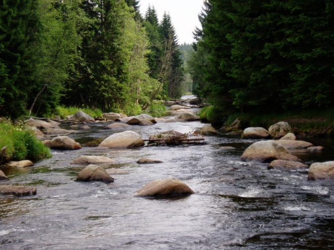 Křemelná
