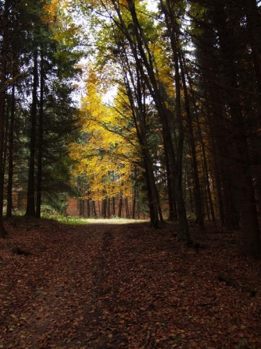 Cesty se křižují a není proč chvátat. Vysoko nad námi se stále válejí mlhy, pot na našich zádech chladne a my pomalu stoupáme k Mehelnikům.