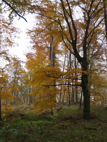 Poutníků, i díky nepříliš vysoké teplotě (1 až 4°C) dnes moc nepotkáváme, ale jinak jsou hory přívětivé i pro mnohé cyklisty. Pro ně je mírně zvlněná krajina ideální.