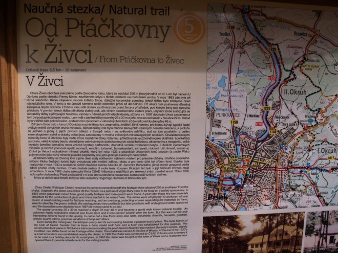 Mastek, sůl kamenná, kalcit, kazivec, apatit, živec, křemen, topaz, korund a diamant.  Asi úplně všechny nerosty ze stupnice tvrdosti tu nerostou, ale protože Živec křižuje i naučná Cesta drahokamů, určitě některé z nich bychom tu našli.
