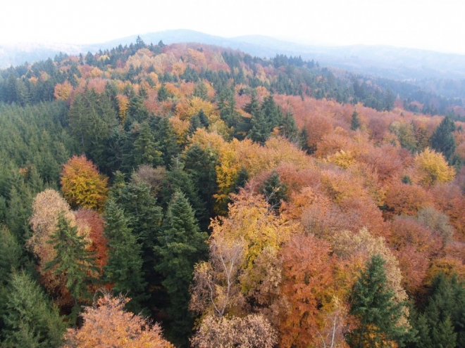 Pojmenování "hory" prý nepochází  ze samotné výšky (350-632m.n.m.) této pahorkatiny, ale je zřejmě odvozeno od "hornické" činnosti, která se tu dlouho provozovala.  Já si osobně ale myslím, že pojmenování hory si tato krajina určitě zaslouží.