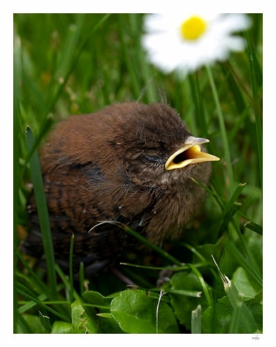 Fotografie uživatele Rony
