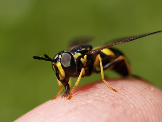 Fotografie uživatele Rony