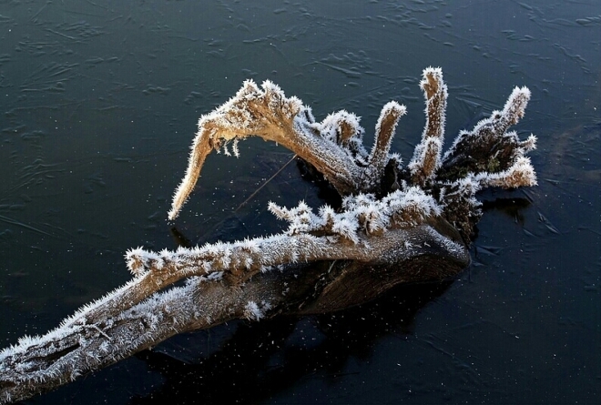 Fotografie uživatele Rony