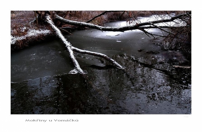 Fotografie uživatele Rony