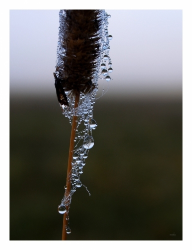 Fotografie uživatele Rony