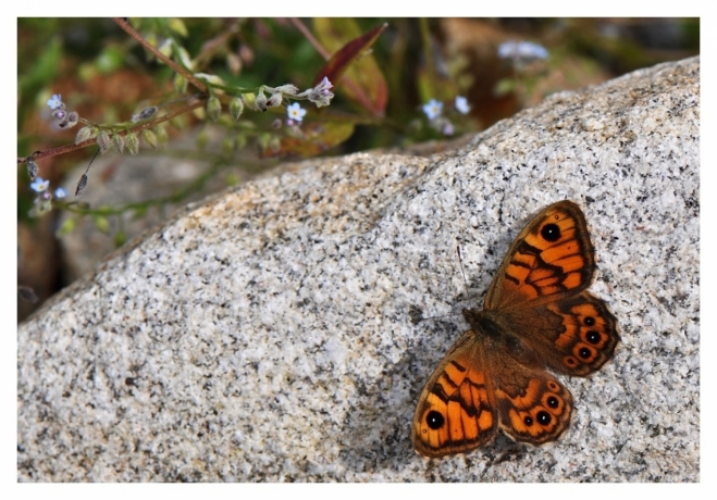 Fotografie uživatele Rony