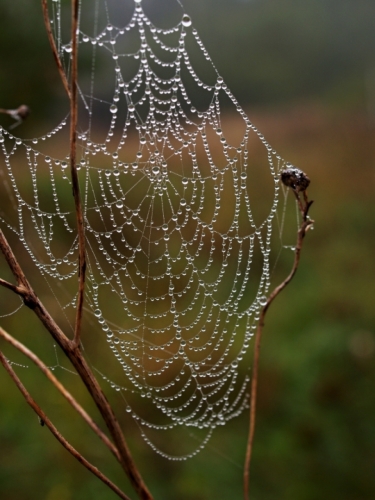 Fotografie uživatele Rony