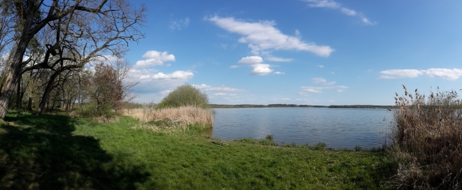 Fotografie uživatele Rony