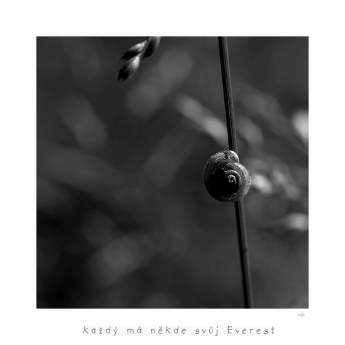 Fotografie uživatele Rony