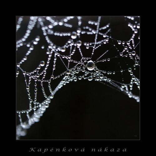 Fotografie uživatele Rony