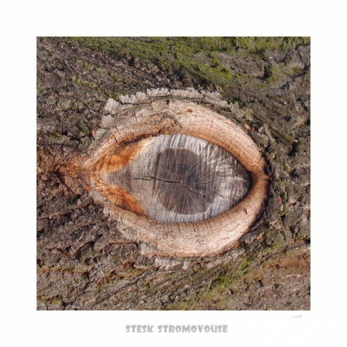 Fotografie uživatele Rony