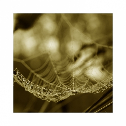 Fotografie uživatele Rony