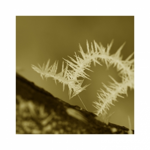 Fotografie uživatele Rony