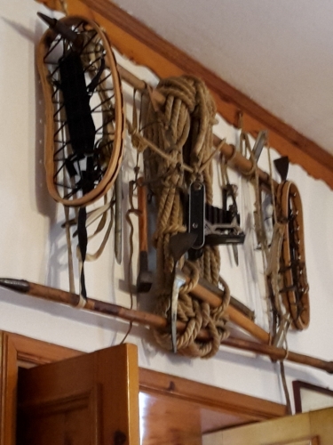 Fotografie uživatele Rony