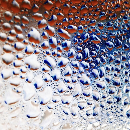 Fotografie uživatele Rony