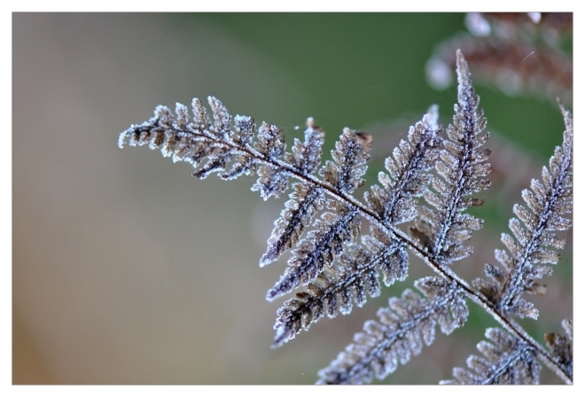 Fotografie uživatele Rony
