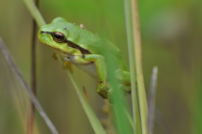 Fotografie uživatele Rony