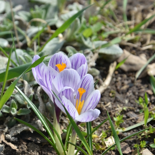 Fotografie uživatele Paulie