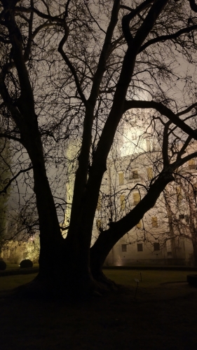 Fotografie uživatele Rony